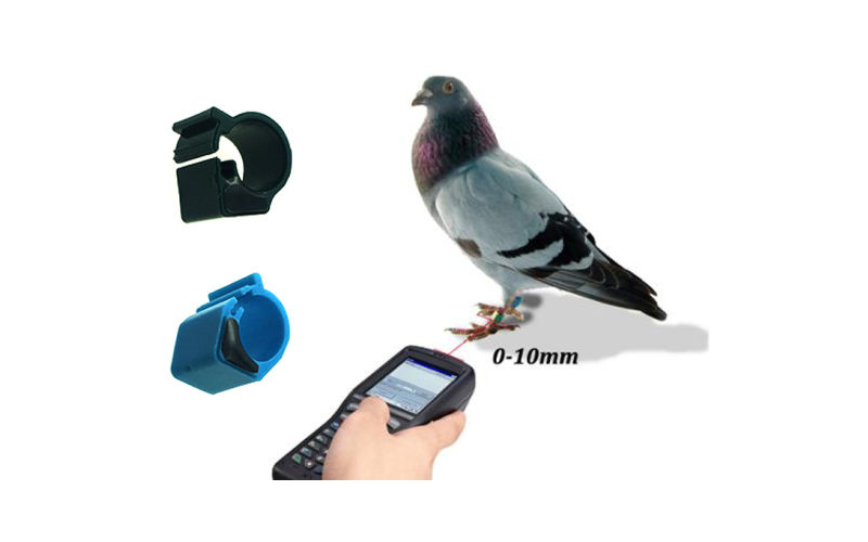 RFID Pigeon Ring